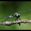 20120621_157